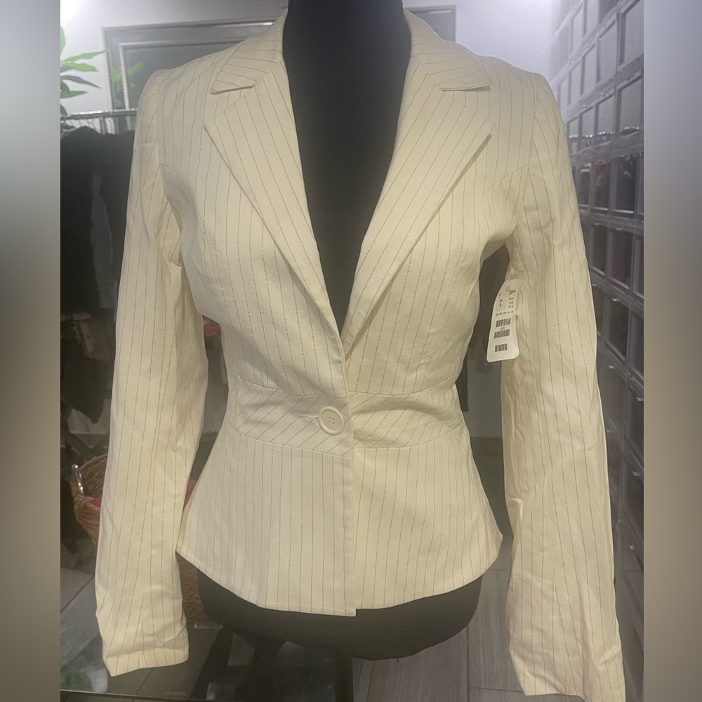 H&M Stretchy Pinstriped Blazer